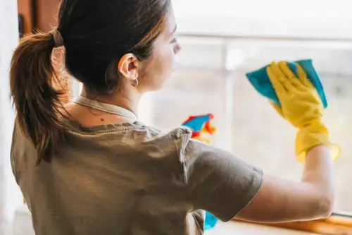 Cum să îți organizezi programul de curățenie când ai animale de companie în apartament