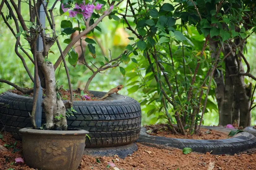 Cum să folosiți cauciucurile vechi în amenajarea inedită a exteriorului casei