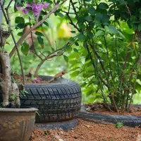 Cum să folosiți cauciucurile vechi în amenajarea inedită a exteriorului casei