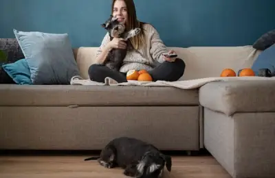 Pets in Apartments: 10 Tips for a Beautiful and Peaceful Life with Them