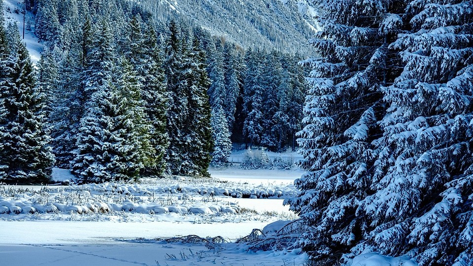 Prognoza meteo, 22 ianuarie. Temperaturile cresc simțitor în toată țara. Unde se vor mai înregistra ninsori