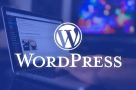 (P) Importanța mentenanței pentru website-urile WordPress