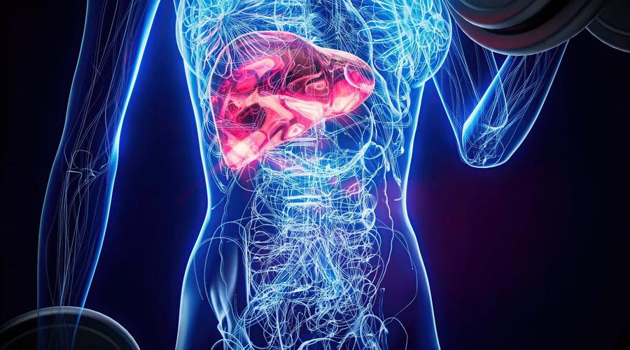 Dincolo de kilograme: ce arată noile date despre Wegovy® și grăsimea acumulată în ficat