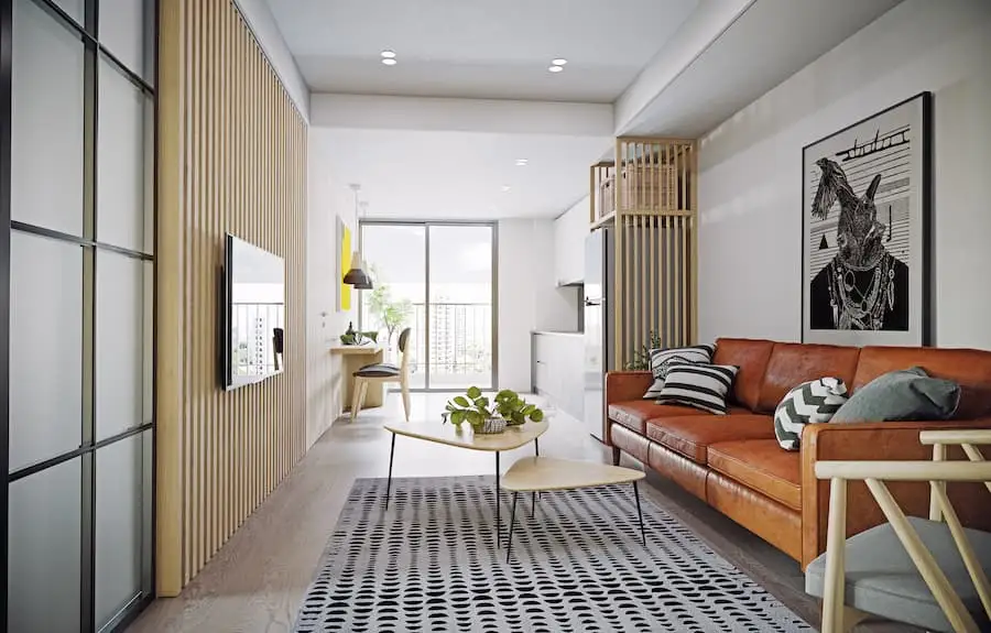 Decorating Techniques, Choosing Multifunctional Furniture, and Efficient Organization in an Apartment