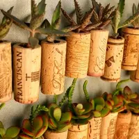 20 cele mai simpatice micro gradini