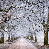 Prognoza meteo, 14 ianuarie. Temperaturi sub media normală, condiții de ceață și polei. Când se încălzește vremea