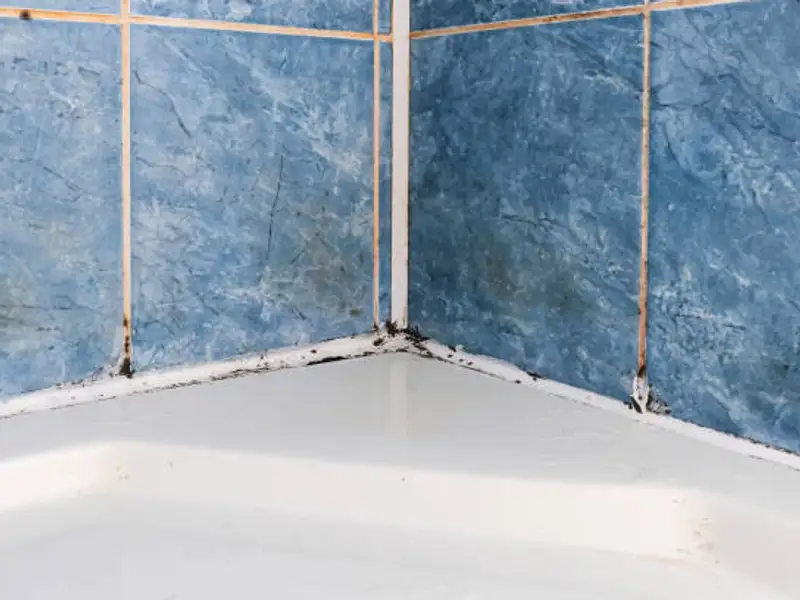 Soluții eficiente pentru eliminarea mucegaiului și a umezelii într-o baie fără geam