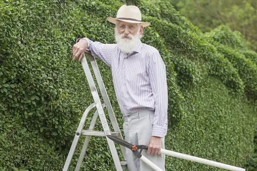 Ce creste acest batran din Anglia in gradina sa este uimitor!