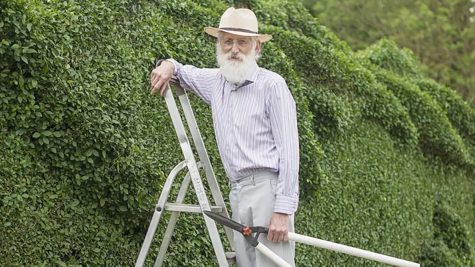 Ce creste acest batran din Anglia in gradina sa este uimitor!