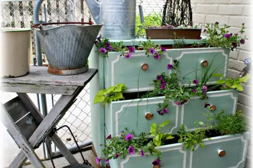 Ghivece pentru gradina ta, realizate din obiecte vechi