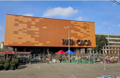 Experiența britanicilor la tarabele din Piața Obor din București, relatată în Financial Times