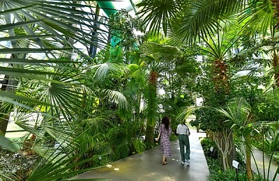 Răcoare tropicală și flori exotice în serele din Parcul Drumul Taberei: Refugiul perfect în mijlocul verii bucureștene