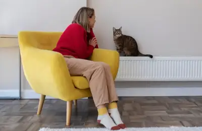 Real Estate Investments: Apartments as a Source of Passive Income