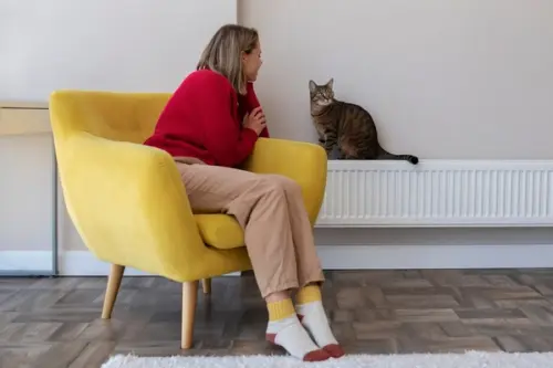 Investiții Imobiliare: Apartamentele ca Sursă de Venit Pasiv