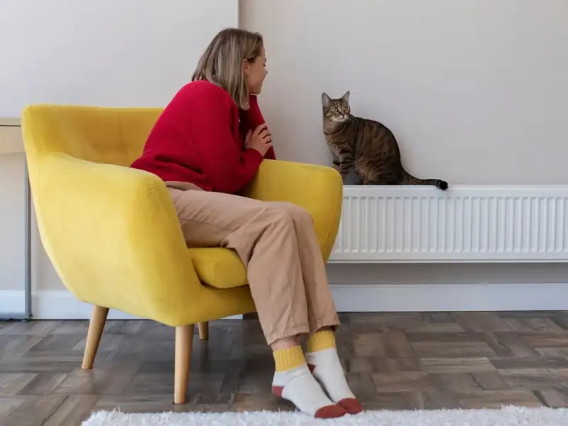 Investiții Imobiliare: Apartamentele ca Sursă de Venit Pasiv