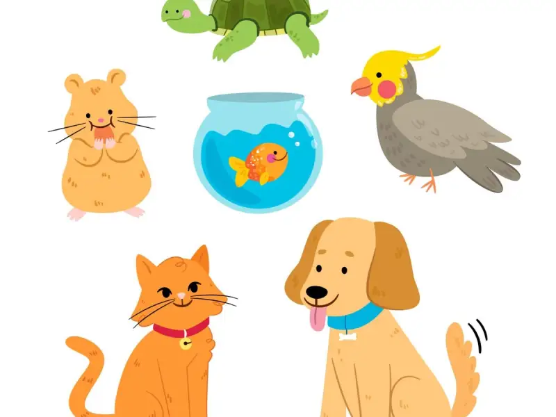 Cum să alegi animalul de companie potrivit pentru familia ta