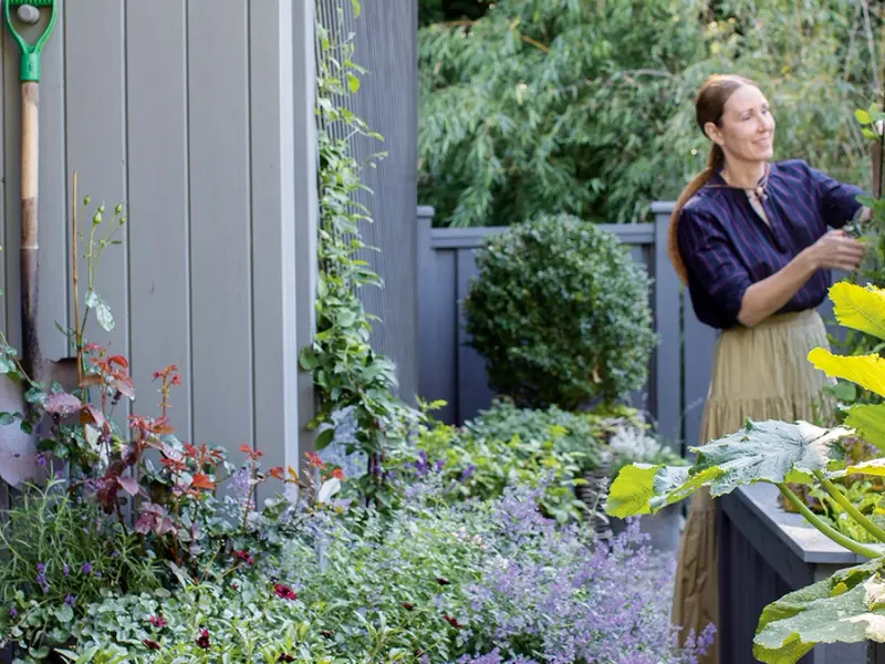 6 moduri de a pregăti grădina pentru primăvară