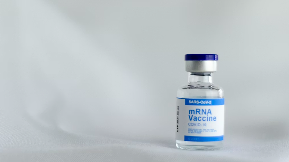 România a pierdut procesul cu Pfizer și trebuie să plătească 600 de milioane de euro. Țara noastră va primi 28 de milioane de doze de vaccin anti-coronavirus contractate de Vlad Voiculescu (USR), la trei ani după ce pandemia s-a terminat