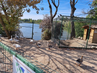 Ritmul biologic al iernii dobrogene. Cum își pregătește Microrezervația din Constanța viețuitoarele pentru sezonul rece