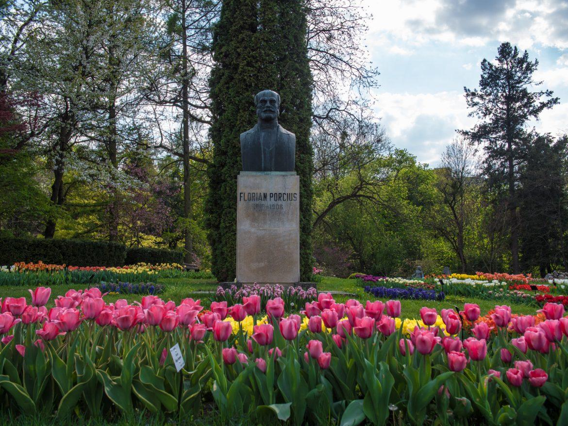 Mâine, pe 10 noiembrie, are loc deschiderea Grădinii Botanice ”Alexandru Borza” a Universității Babeș-Bolyai