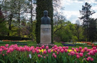 Mâine, pe 10 noiembrie, are loc deschiderea Grădinii Botanice ”Alexandru Borza” a Universității Babeș-Bolyai