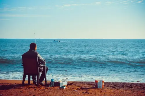 Tipuri de lansete feeder și caracteristicile lor