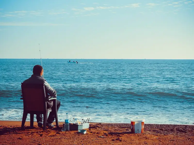 Tipuri de lansete feeder și caracteristicile lor