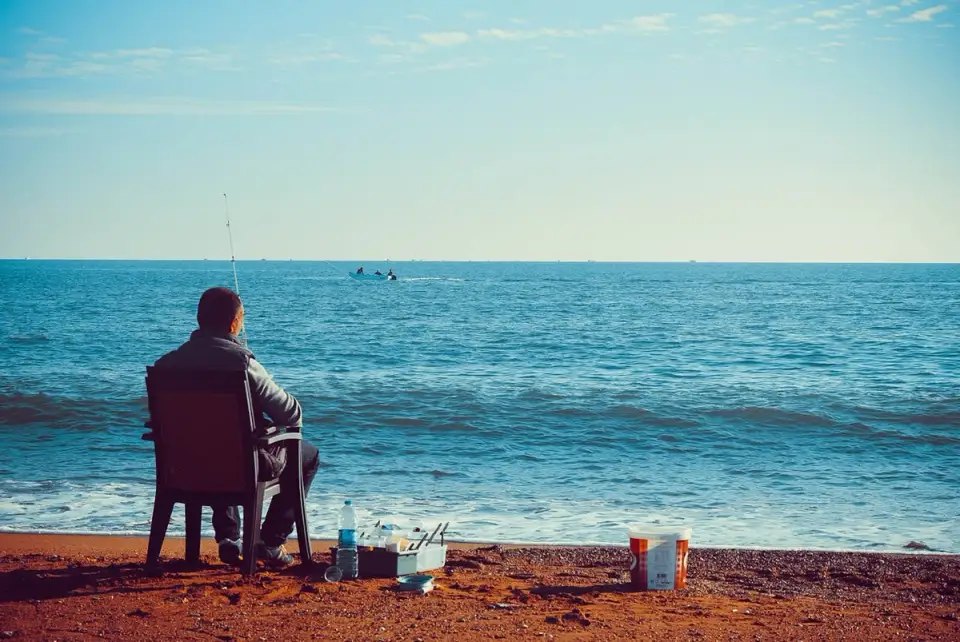 Types of Feeder Rods and Their Characteristics