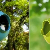 Casute pentru pasari – Amenajari exterioare