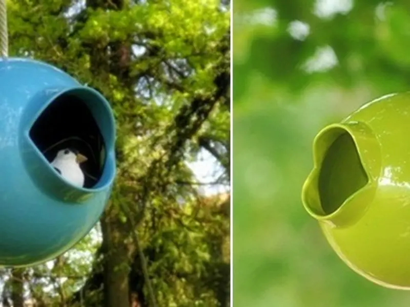 Casute pentru pasari – Amenajari exterioare