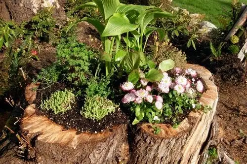 Ghiveci pentru flori din trunchi de copac