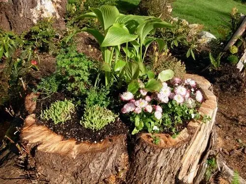 Ghiveci pentru flori din trunchi de copac