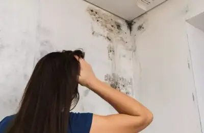 Metoda perfecta de a scapa de mucegaiul din casa