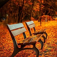 Prognoza meteo, 10 octombrie. Temperaturile cresc în toată țara, dar revin ploile slabe în nord și est
