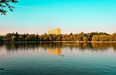 Modernizare în Parcul IOR: Primăria Sectorului 3 consultă bucureștenii prin chestionar și propune fântâni arteziene și muzică ambientală