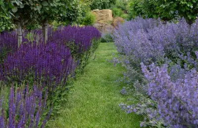 DIY Garden Project Ideas