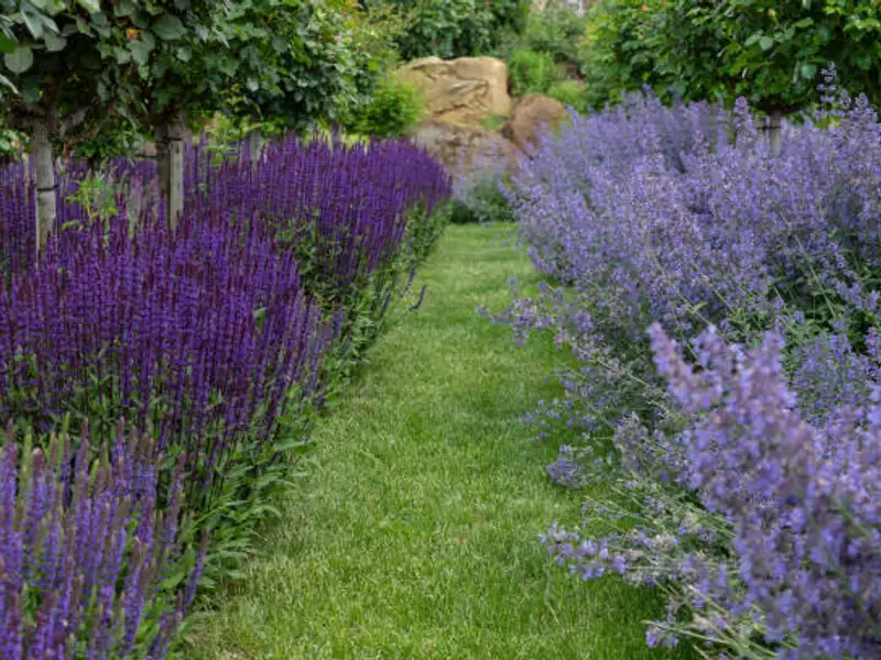 Idei de proiecte DIY pentru grădină