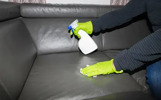 Leather Sofa Cleaning: Effective Solutions and Useful Tips