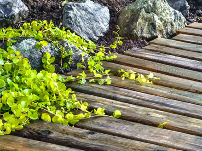 Pavaje din lemn reciclat