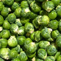 TUTORIAL: Cum se planteaza varza de Bruxelles? (VIDEO)