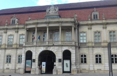 Fundația ”Doina Cornea” a depus o petiție pentru salvarea Muzeului de Artă din fostul Palat Banffy din Cluj-Napoca