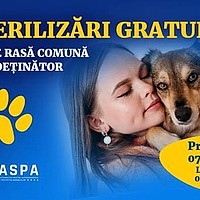 Sterilizare și microcipare gratuite pentru câini în București: ASPA actualizează lista clinicilor