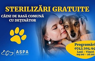 Sterilizare și microcipare gratuite pentru câini în București: ASPA actualizează lista clinicilor