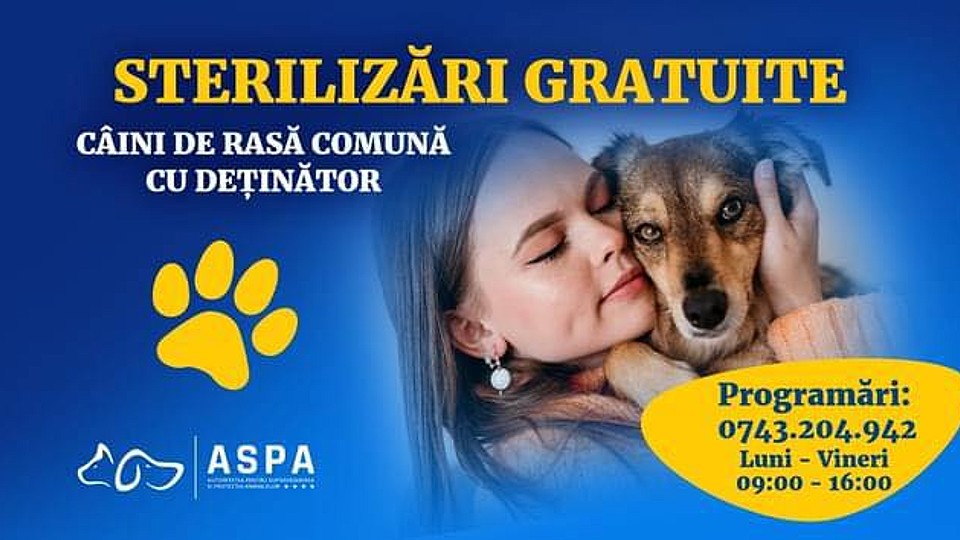 Sterilizare și microcipare gratuite pentru câini în București: ASPA actualizează lista clinicilor