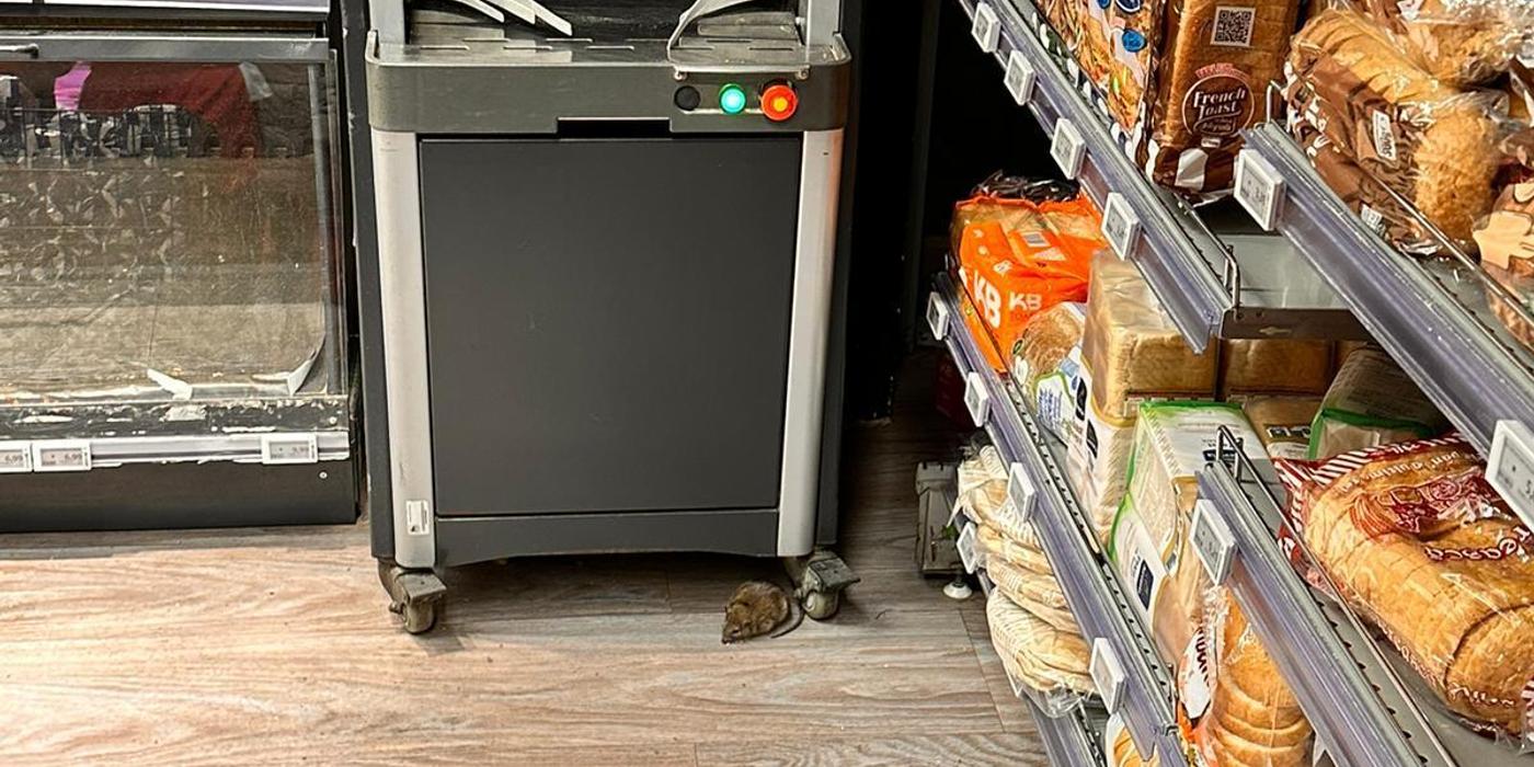 Şobolan surprins în magazinul Mega Image Domenii / Zona de bake-off, închisă / S-a făcut curăţenie generală, dezinsecţie, dezinfecţie şi deratizare FOTO