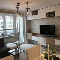 Reamenajarea moderna a unui apartament de 44 metri patrati