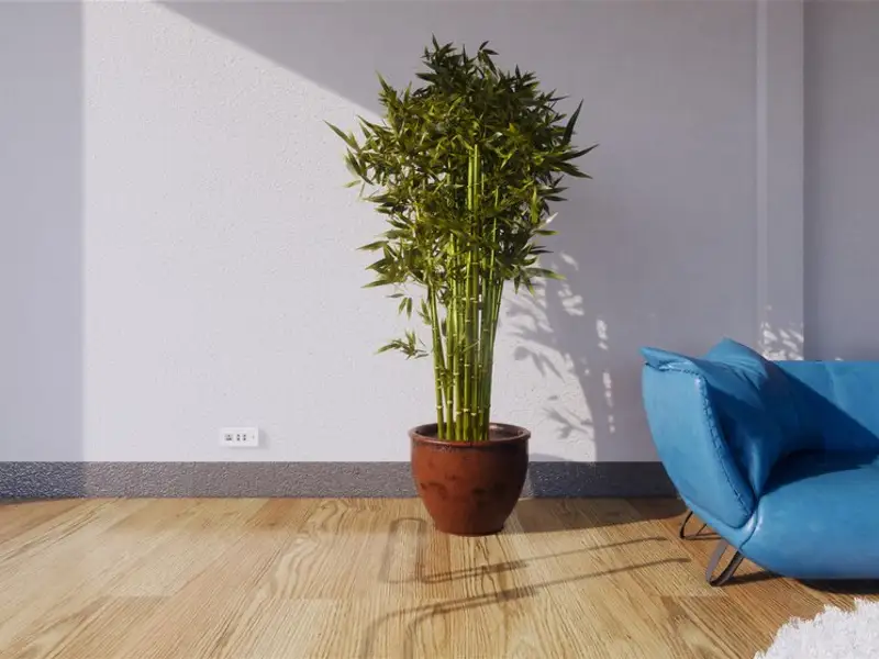 Aduceți natura în casă cu ajutorul pardoselilor naturale: tipuri și sfaturi pentru alegerea lor