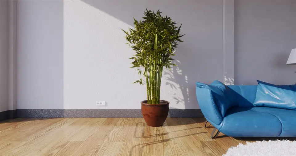 Bring Nature Indoors with Natural Flooring: Types and Tips for Choosing