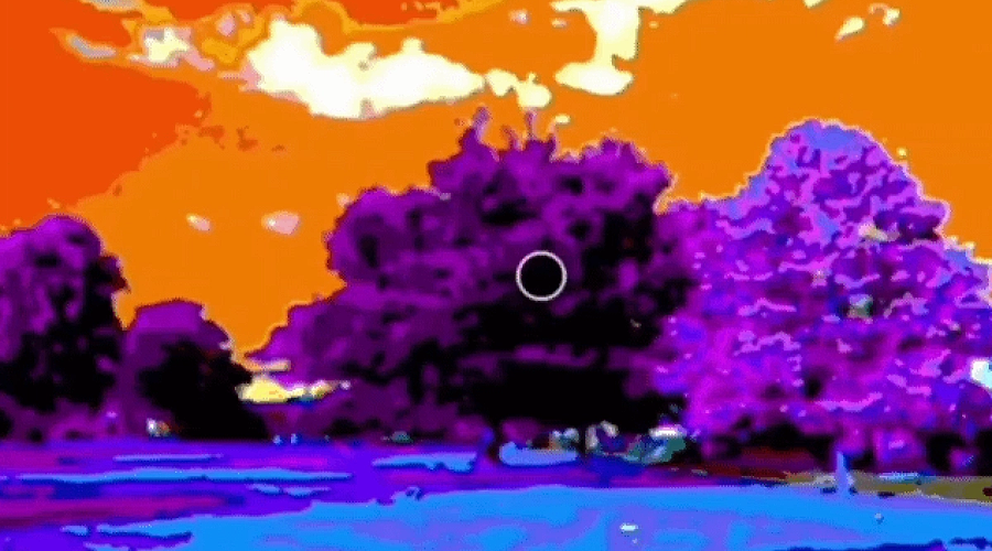 Realitatea pe care o vezi este o iluzie construită de creier