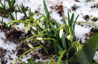 Prognoza meteo, 27 ianuarie. Temperaturi record, pentru această perioadă, în România